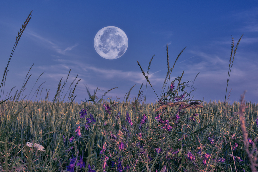 moon