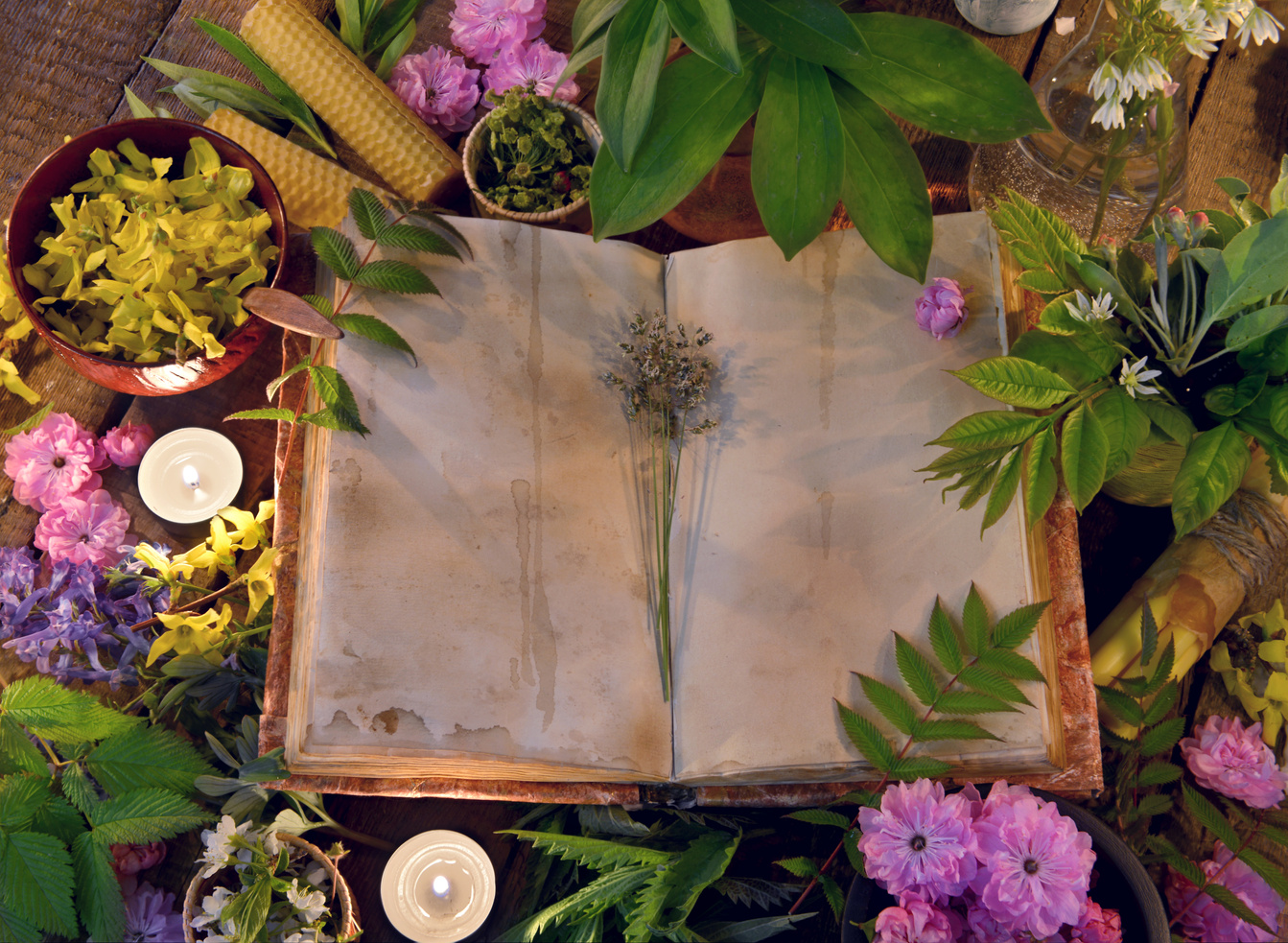 Still life with open book  and healing herbs and candles